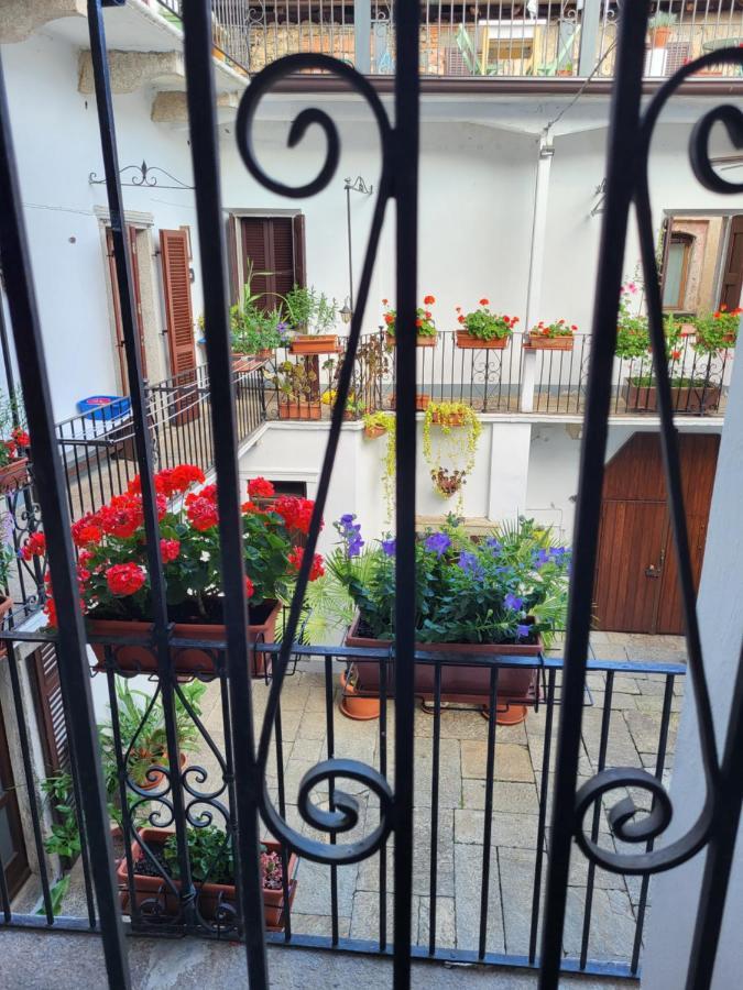 Casa Onorina, Relax E Tranquillita Sul Lago D'Orta Bolzano Novarese Esterno foto